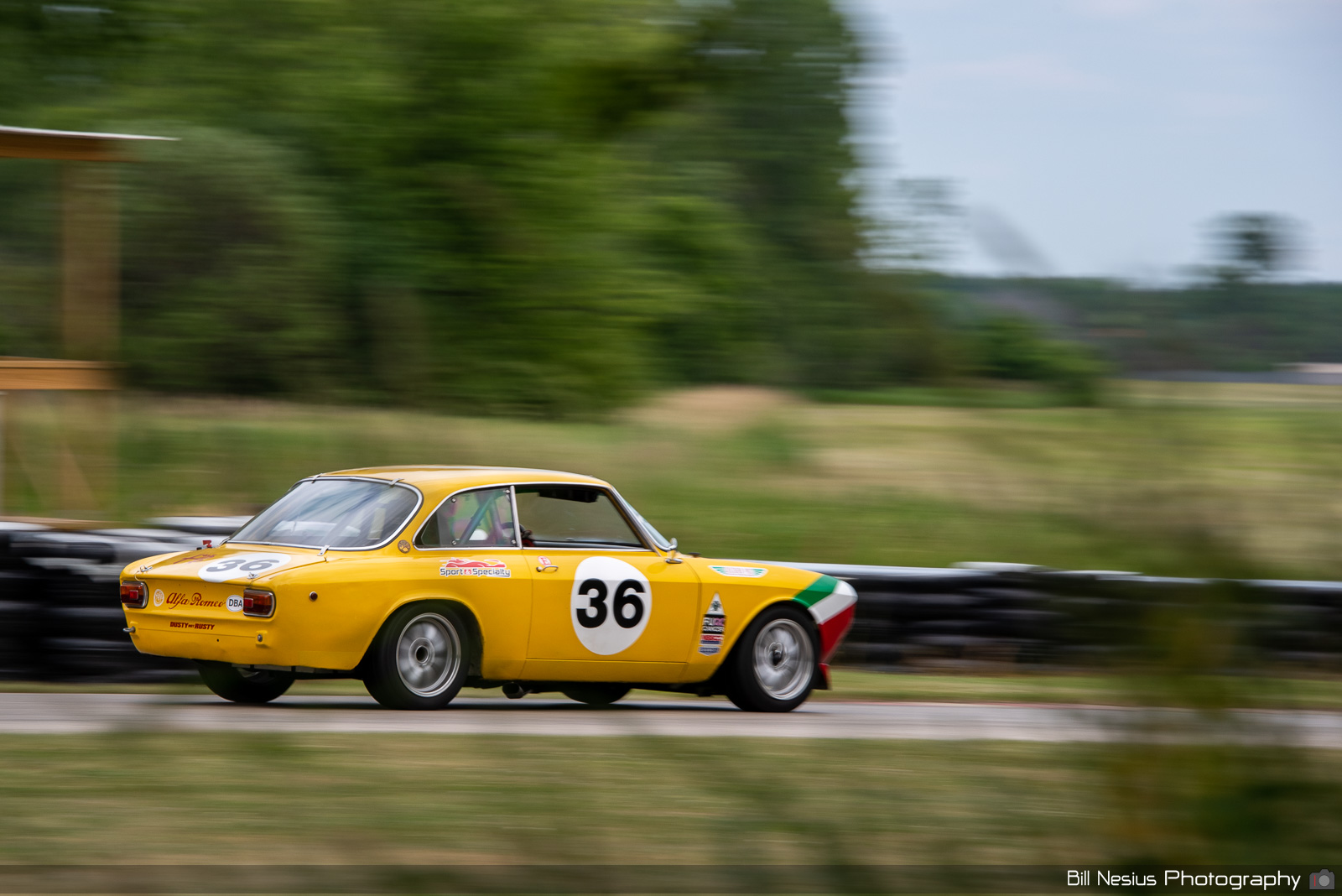 1969 Alfa Romeo GTV Number 36 / BAN_1478 / 