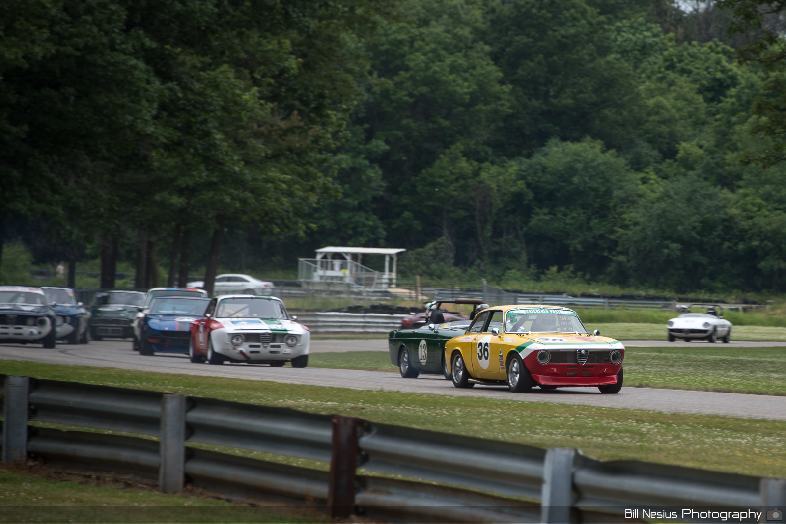 1969 Alfa Romeo GTV Number 36 / BAN_2741 / 3