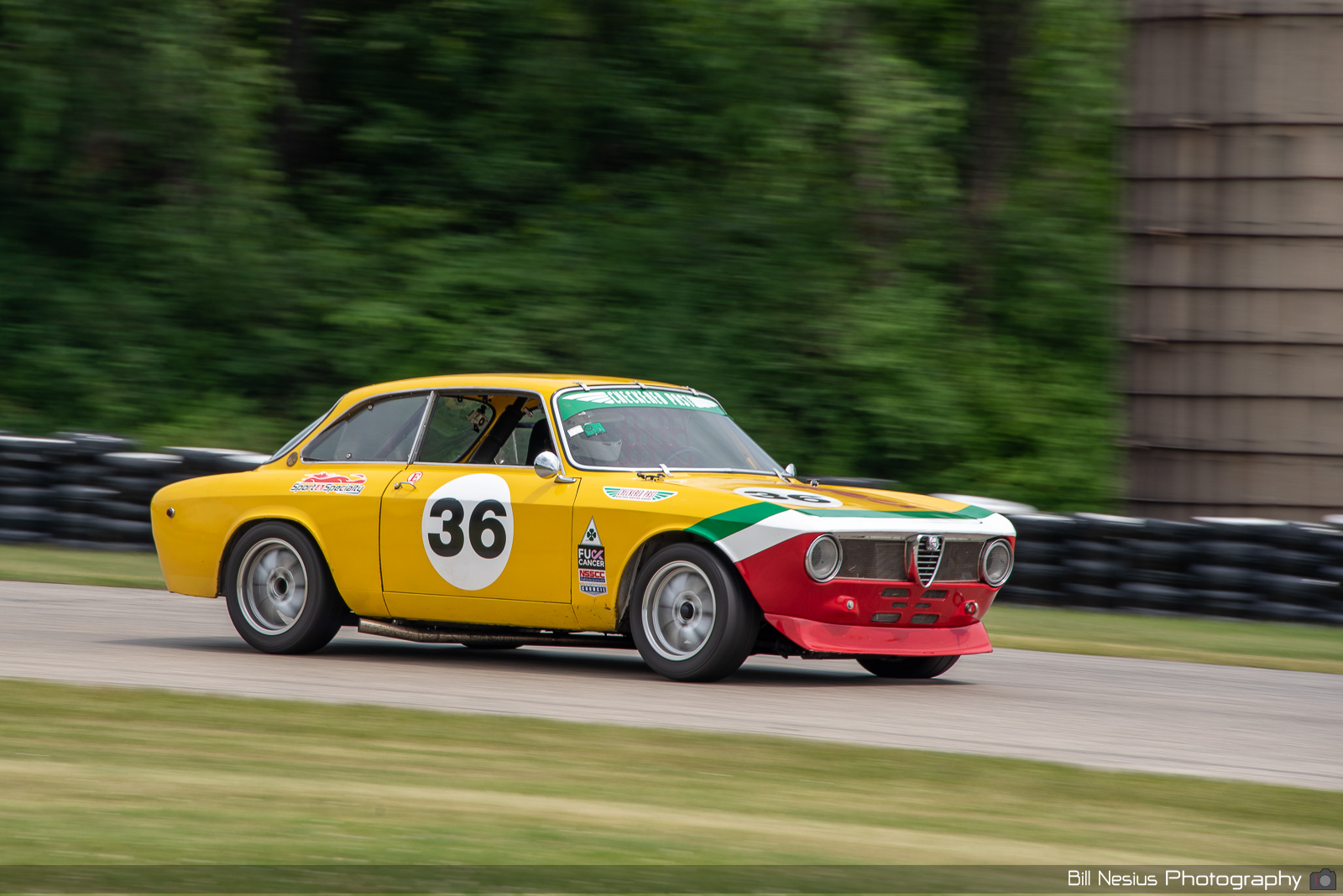 1969 Alfa Romeo GTV Number 36 / BAN_4065 / 3