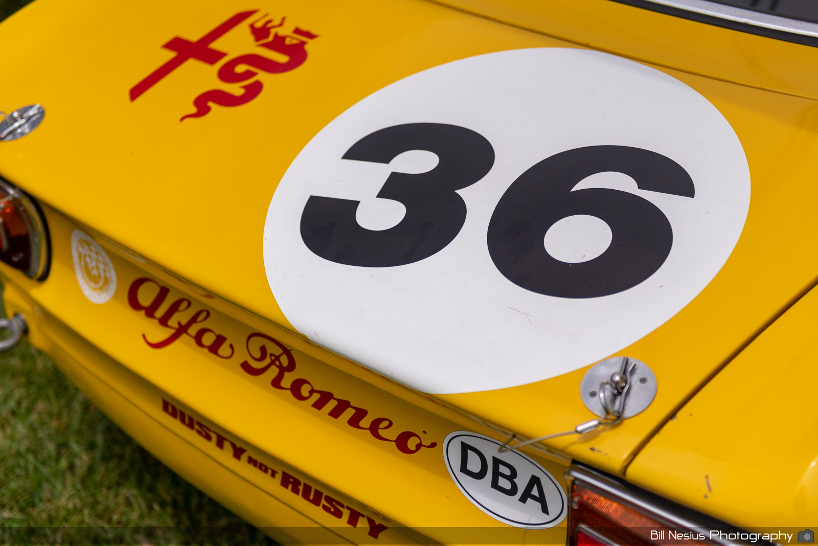 1969 Alfa Romeo GTV Number 36 / DSC_7821 / 