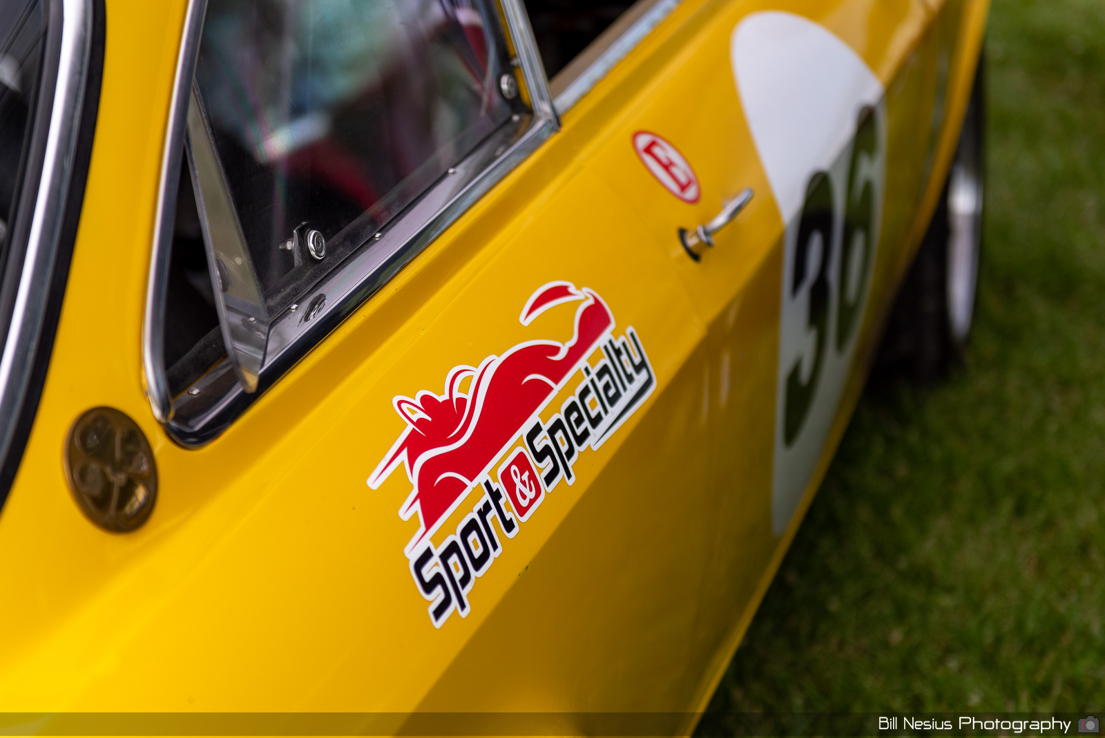 1969 Alfa Romeo GTV Number 36 / DSC_7822 / 