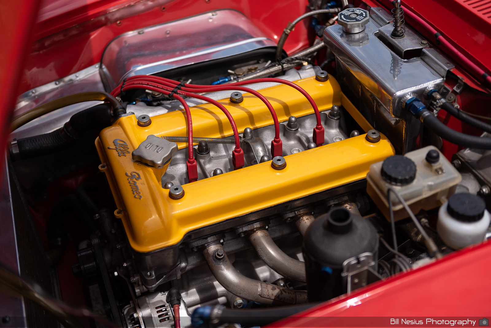 1971 Alfa Romeo GT Junior Number 27 / DSC_7841 / 