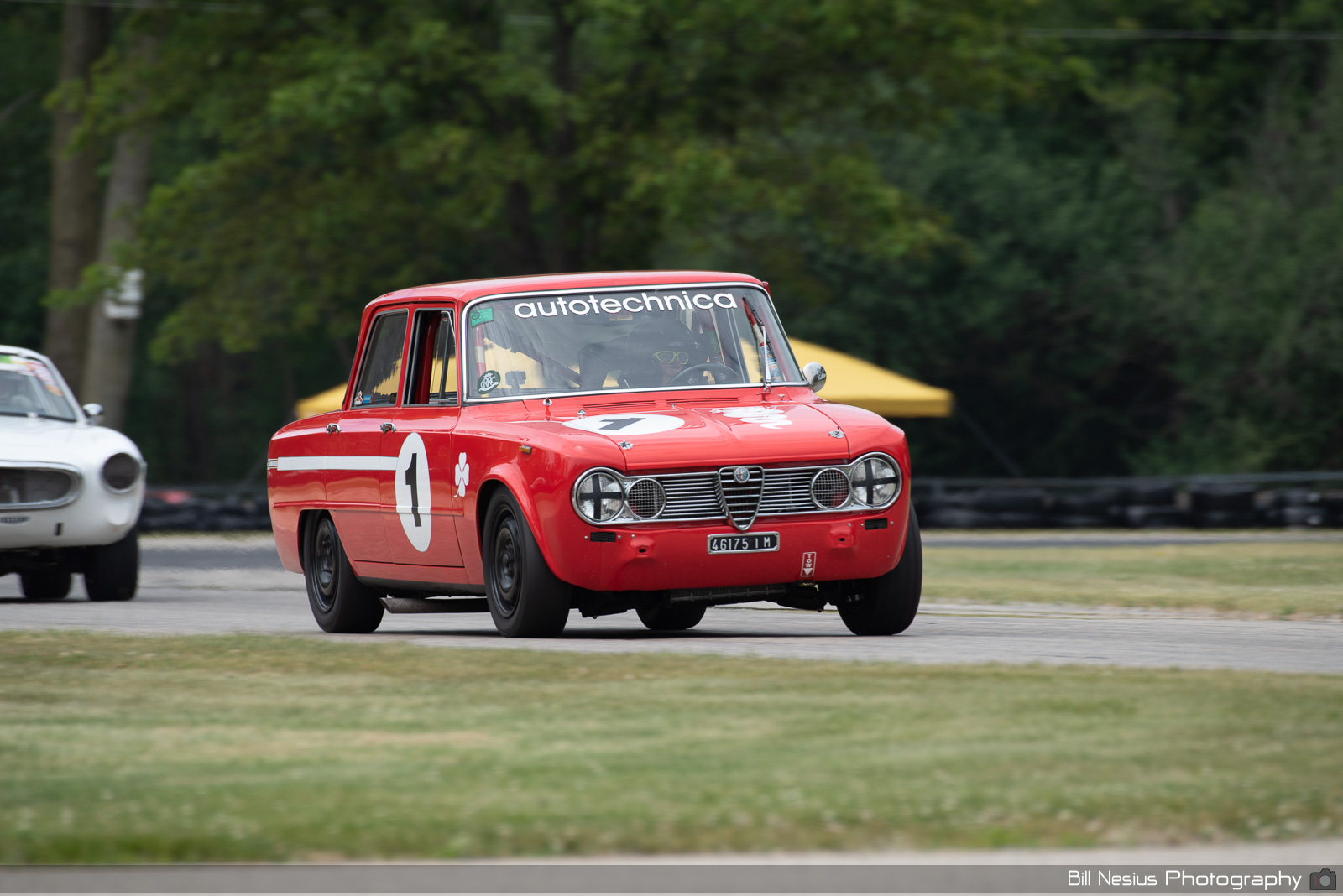 1965 Alfa Romeo Giulia Ti Number 1 / DSC_8563 / 4