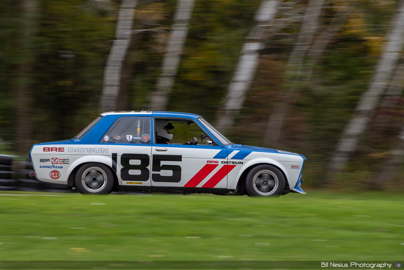 1972 Datsun 510 Number 185 / DSC_5390 / 4