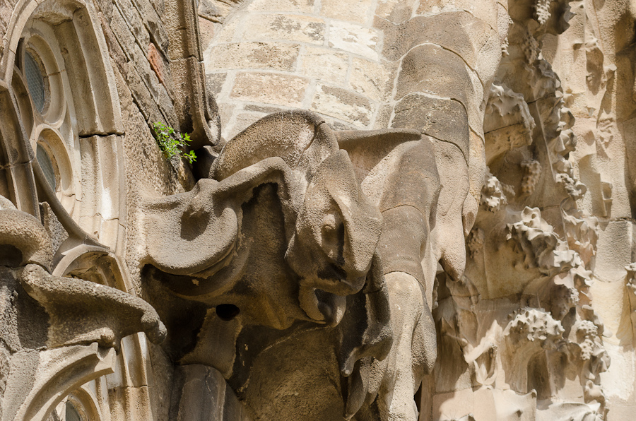 La Sagrada Familia church by Antoni Gaudí / DSC_6762
