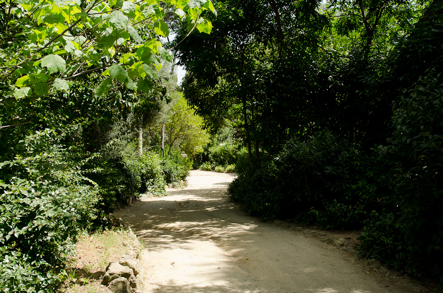 Parc Guell designed by architect Antoni Gaudí / DSC_6817