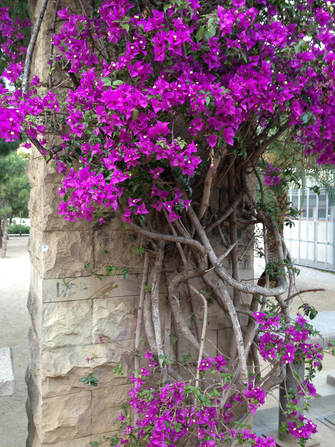 Joan Miro Park / IMG_1051