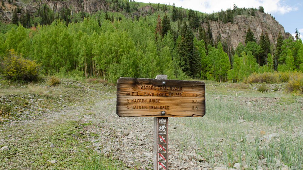 Trail leading to Hayden Trail near Crystal Lake, CO / DSC_6679