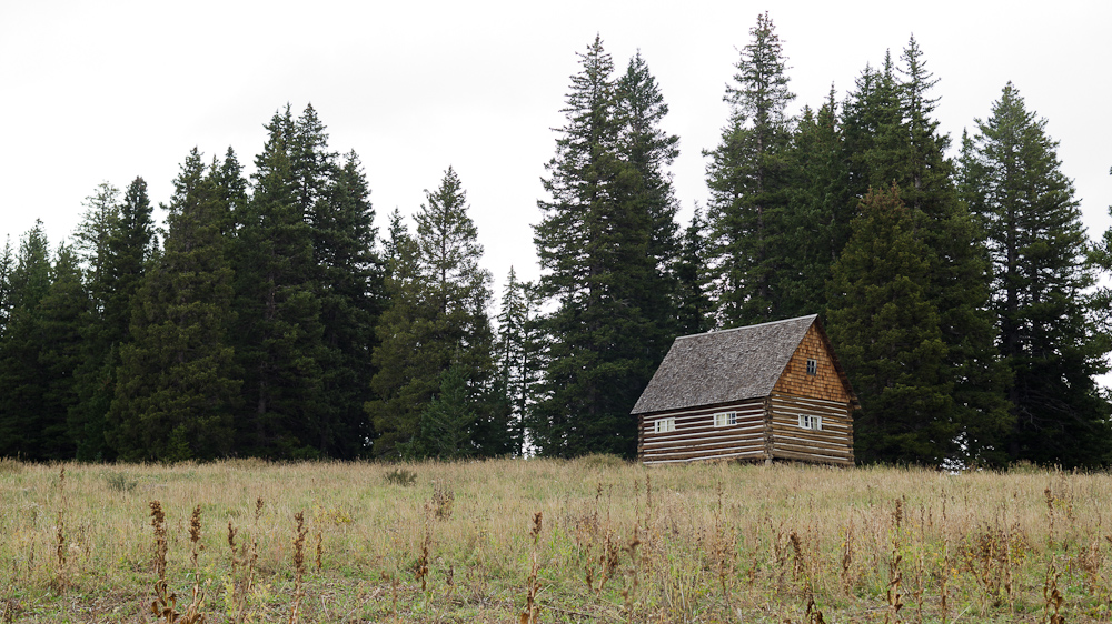 Grand Mesa National Forest / DSC_7128