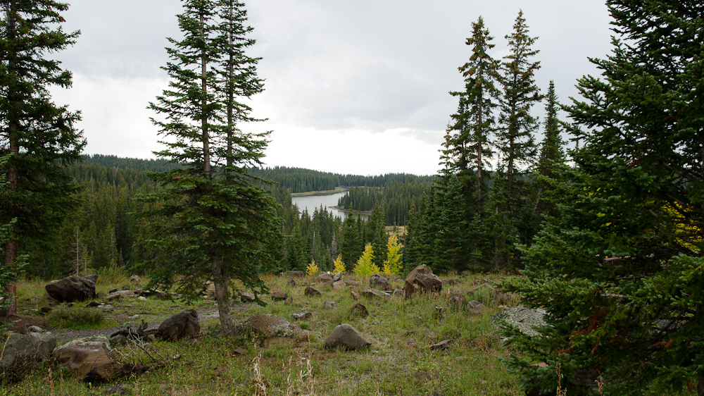 Grand Mesa National Forest / DSC_7171