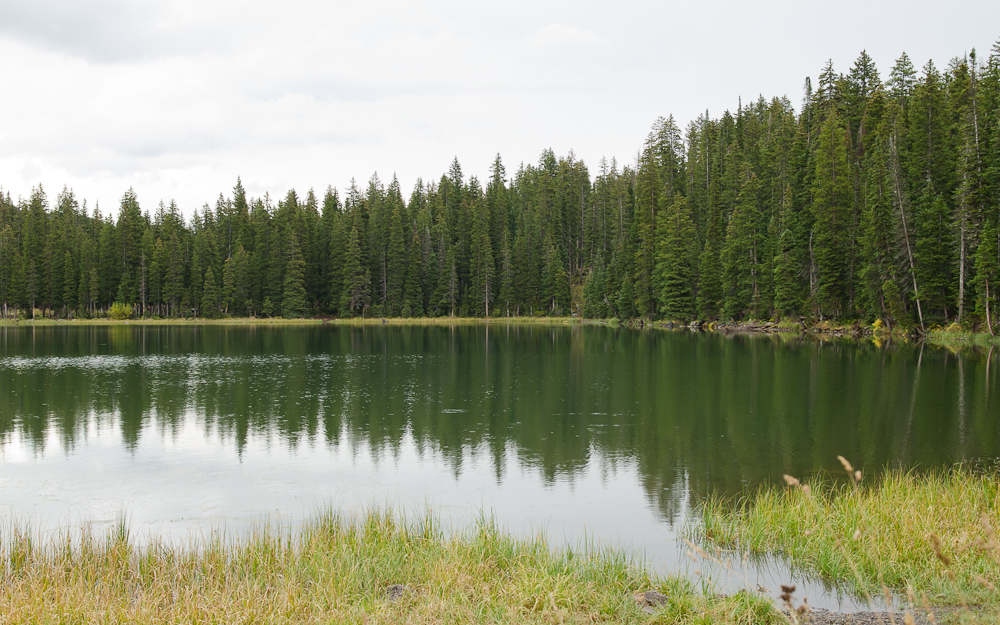 Grand Mesa National Forest / DSC_7184